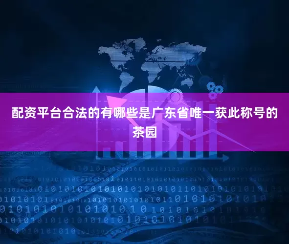 配资平台合法的有哪些是广东省唯一获此称号的茶园